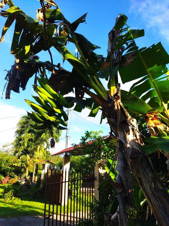 Bijagua Paradise Rio Celeste מראה חיצוני תמונה