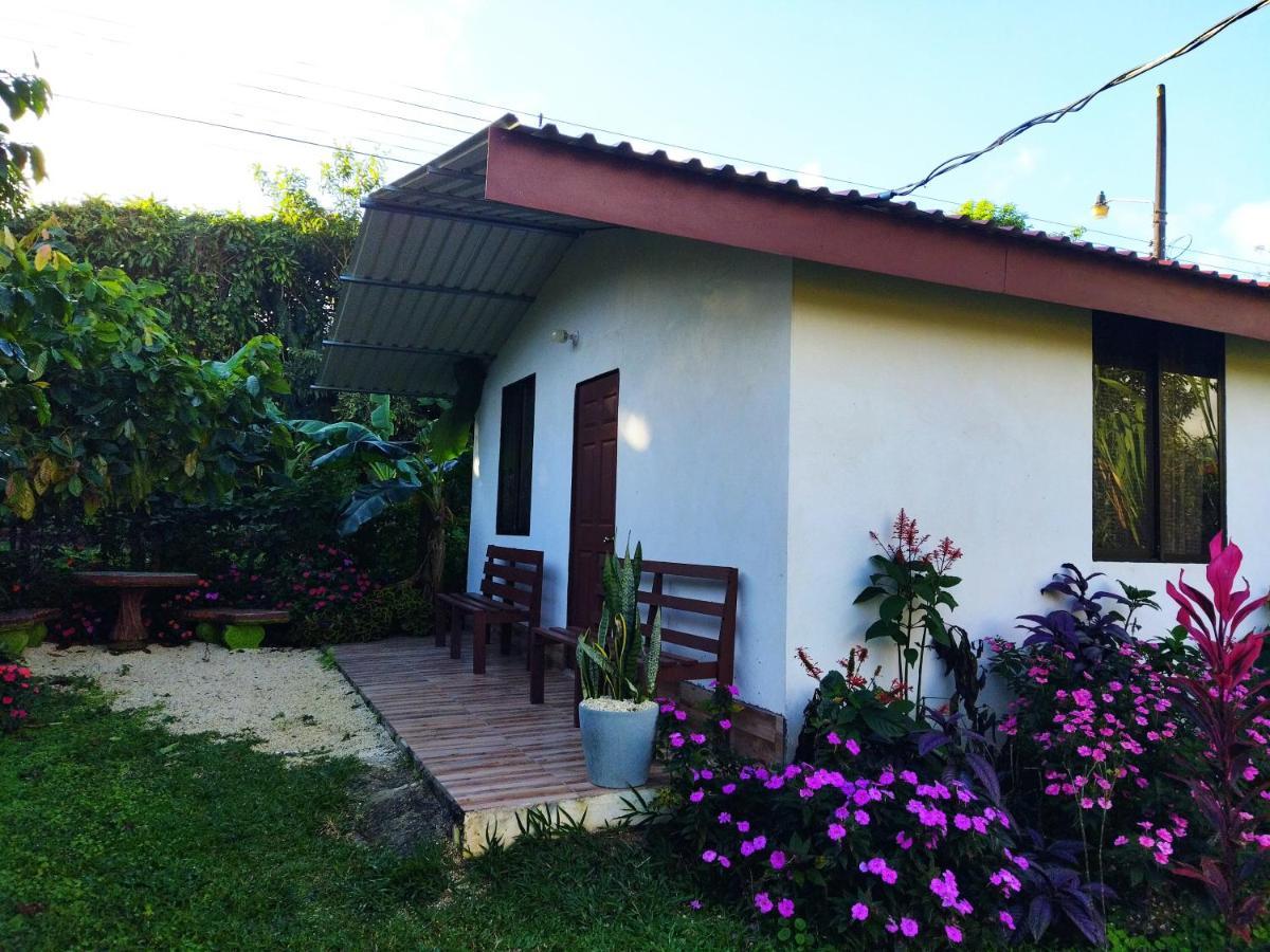 Bijagua Paradise Rio Celeste מראה חיצוני תמונה