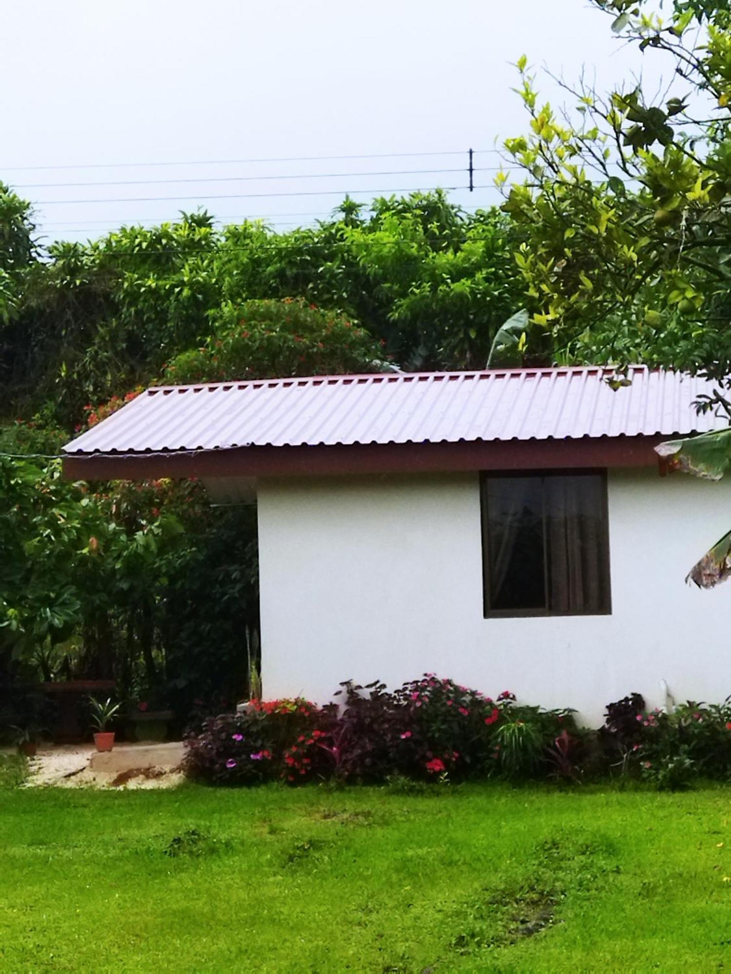 Bijagua Paradise Rio Celeste חדר תמונה